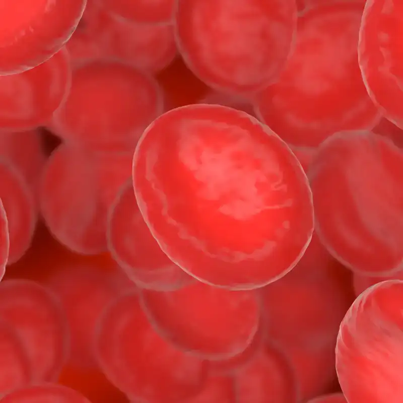 ARNcd-10b